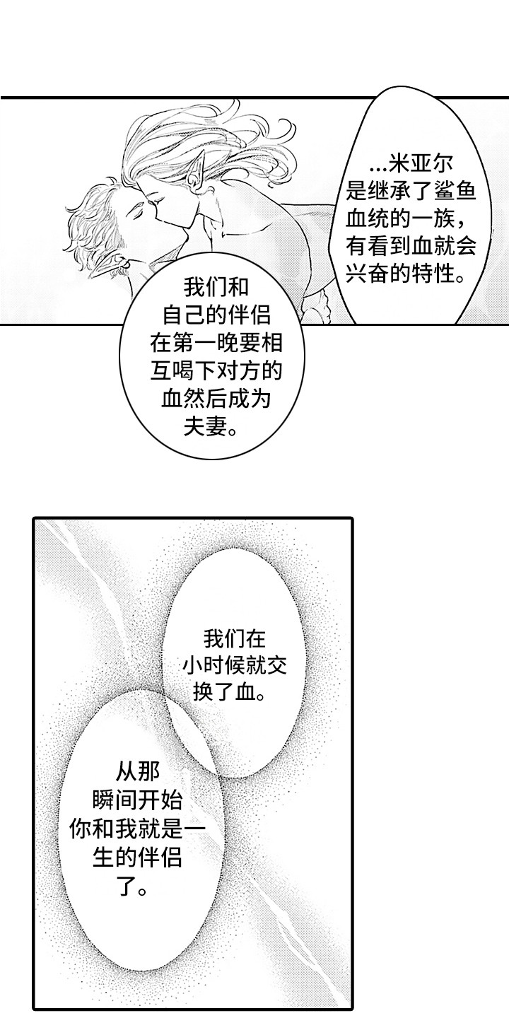 《献给鲨鱼家族》漫画最新章节第25章：忘不掉免费下拉式在线观看章节第【2】张图片