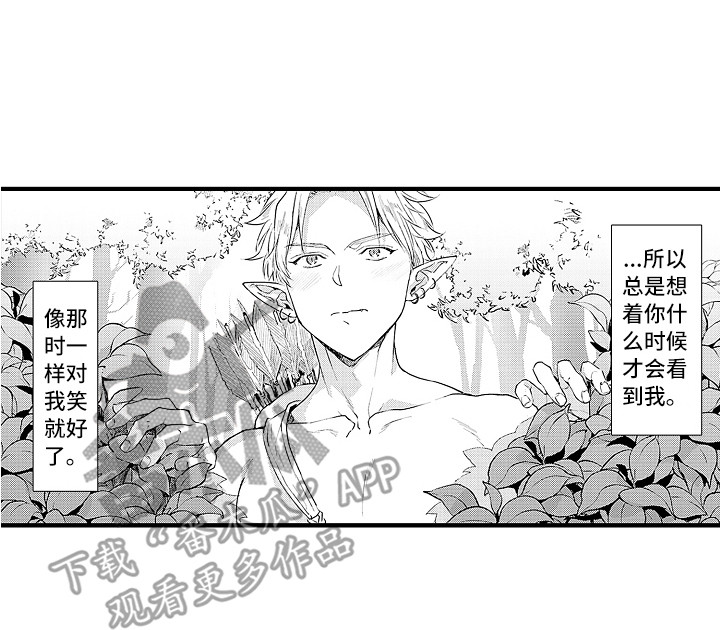 《献给鲨鱼家族》漫画最新章节第25章：忘不掉免费下拉式在线观看章节第【1】张图片