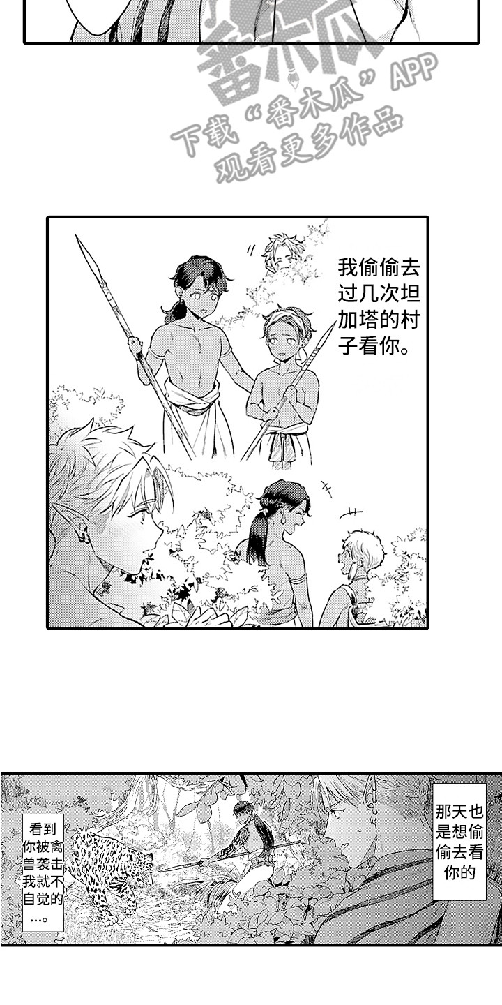 《献给鲨鱼家族》漫画最新章节第25章：忘不掉免费下拉式在线观看章节第【3】张图片