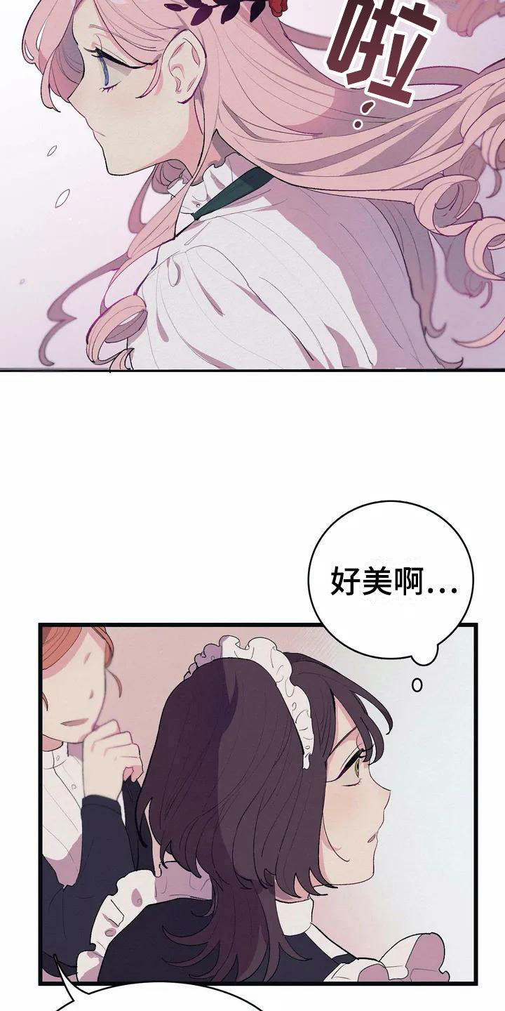 《大小姐的餐桌》漫画最新章节第1章：高级食材免费下拉式在线观看章节第【13】张图片