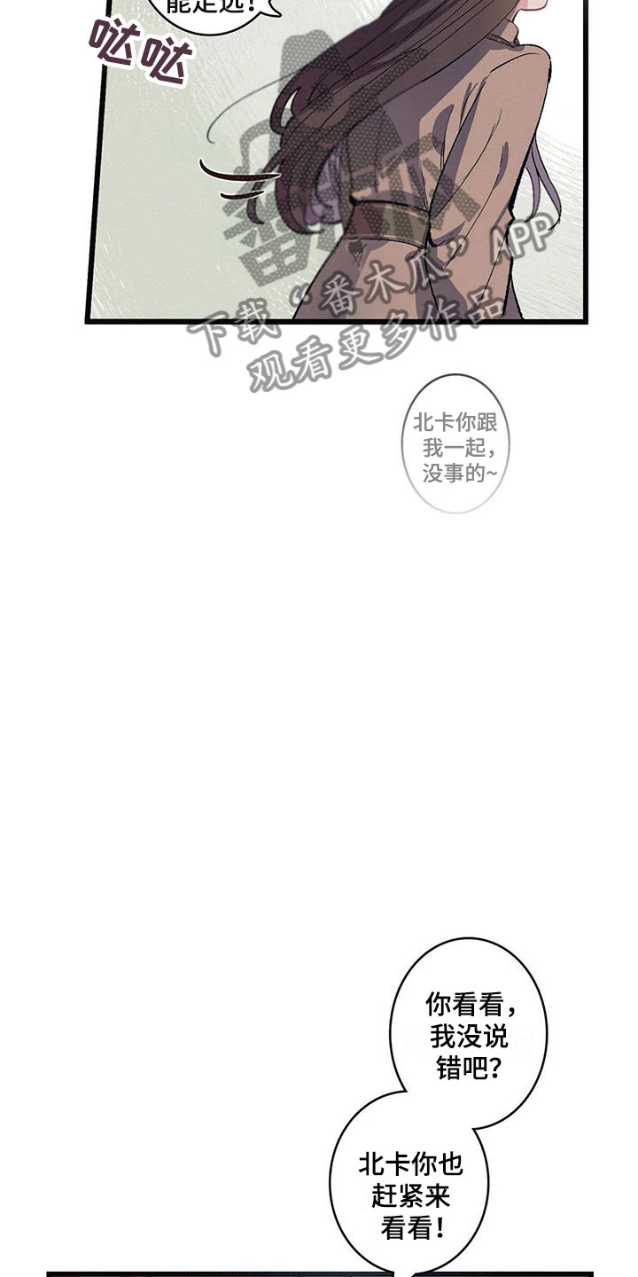 《大小姐的餐桌》漫画最新章节第8章：迷路免费下拉式在线观看章节第【13】张图片