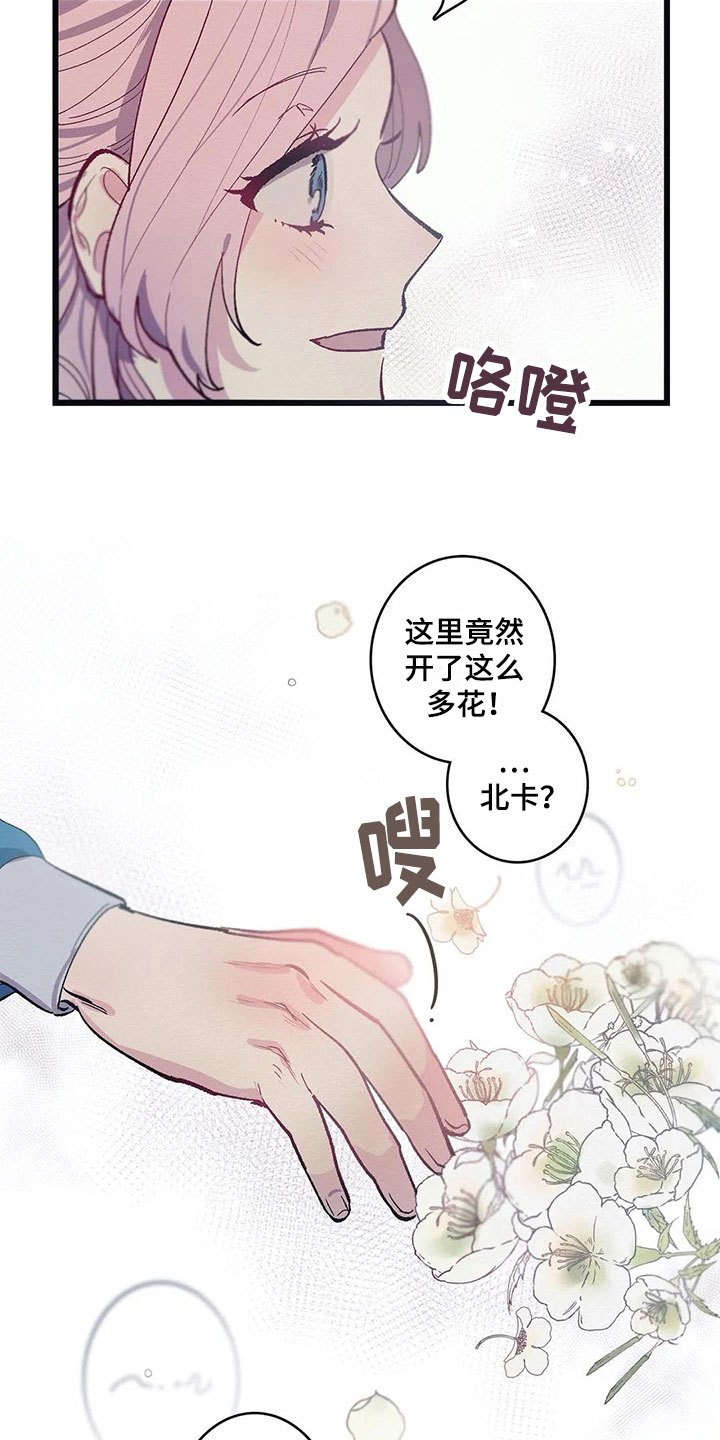 《大小姐的餐桌》漫画最新章节第8章：迷路免费下拉式在线观看章节第【12】张图片