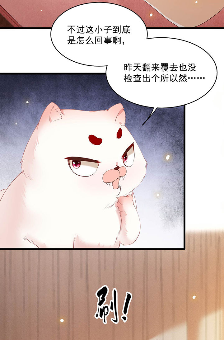 《这个王妃路子野》漫画最新章节第25章：不听话的女人是什么下场免费下拉式在线观看章节第【15】张图片