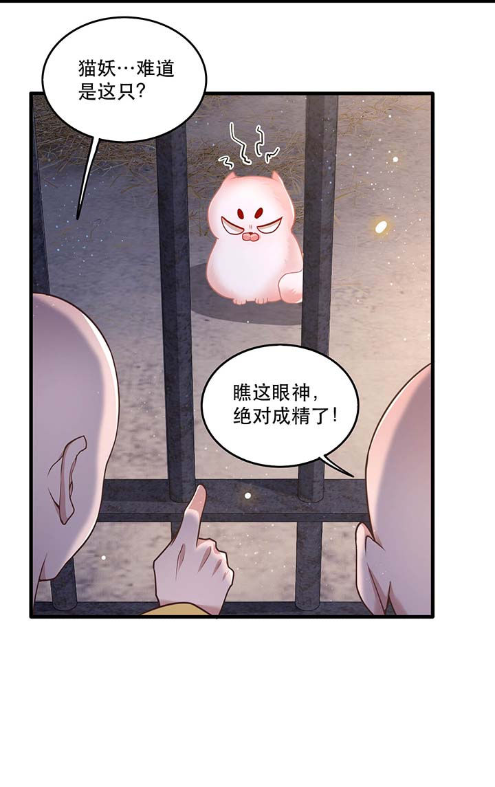 《这个王妃路子野》漫画最新章节第31章：得把鼠毒吸出来！免费下拉式在线观看章节第【4】张图片