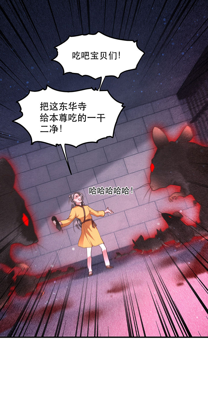 《这个王妃路子野》漫画最新章节第33章：赶紧把那只猫精收拾了！_免费下拉式在线观看章节第【8】张图片