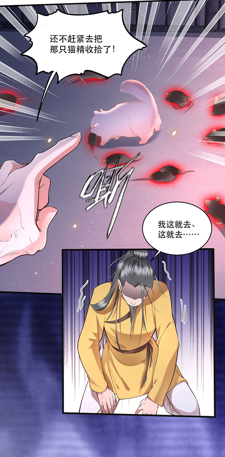 《这个王妃路子野》漫画最新章节第33章：赶紧把那只猫精收拾了！_免费下拉式在线观看章节第【22】张图片