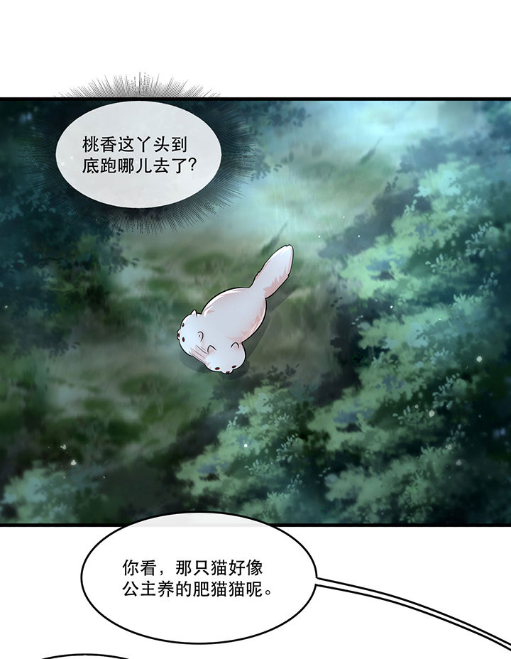 《这个王妃路子野》漫画最新章节第55章：淡雪与桃香的宿命免费下拉式在线观看章节第【11】张图片