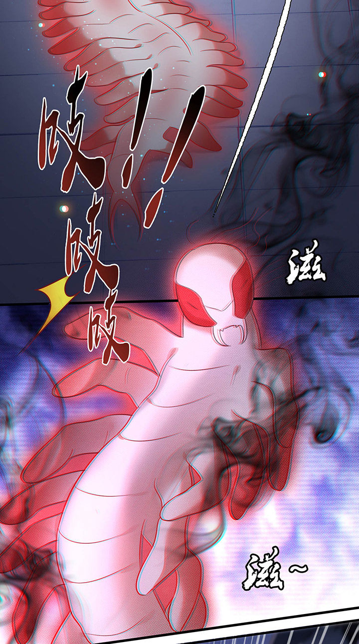 《这个王妃路子野》漫画最新章节第59章：是时候，该收网了免费下拉式在线观看章节第【11】张图片