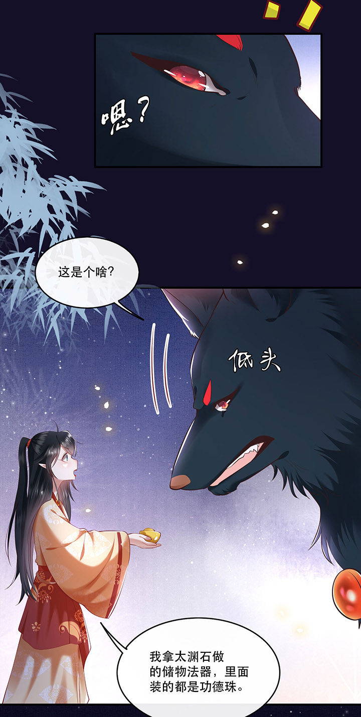 《这个王妃路子野》漫画最新章节第60章：年复一年的功德珠免费下拉式在线观看章节第【17】张图片