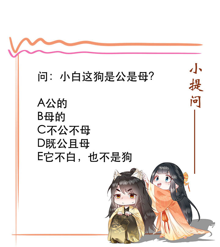 《这个王妃路子野》漫画最新章节第70章：喜欢还要什么理由！免费下拉式在线观看章节第【1】张图片