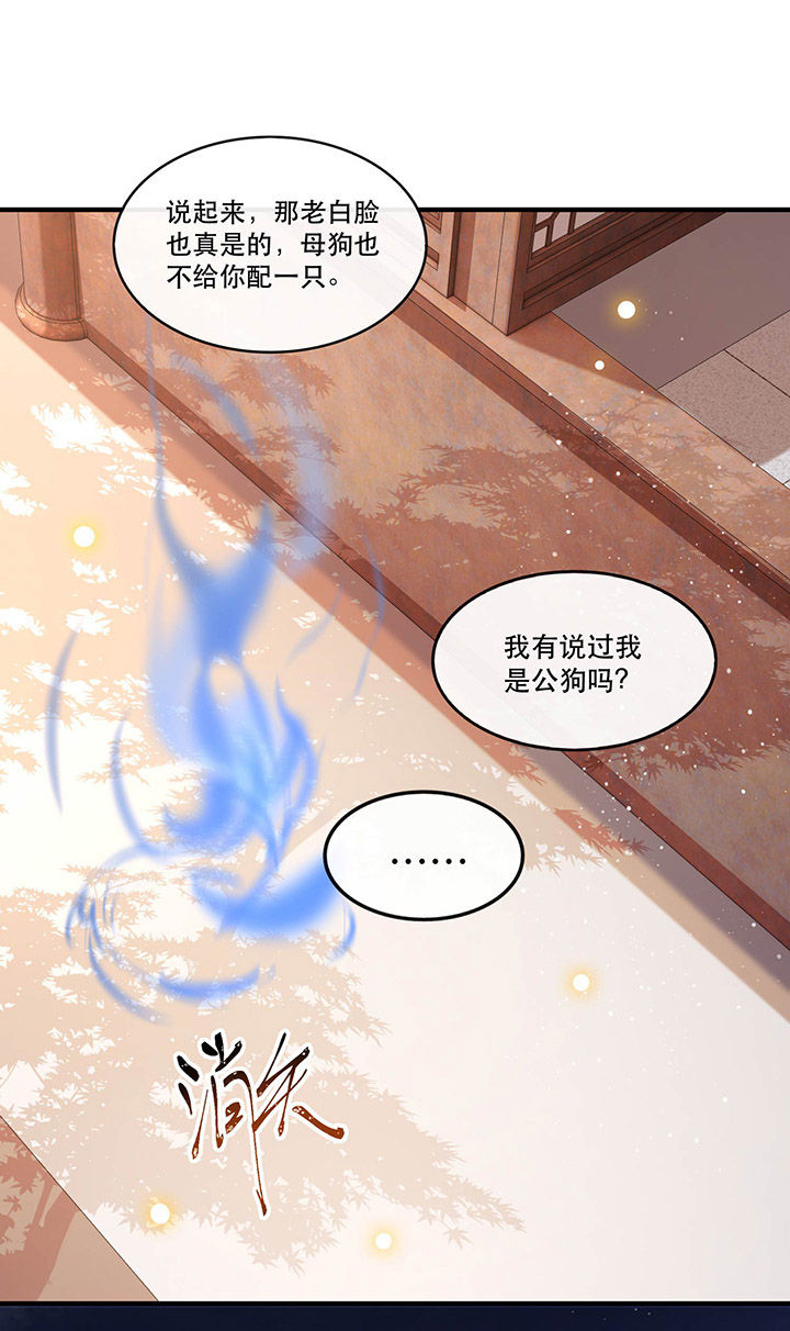 《这个王妃路子野》漫画最新章节第70章：喜欢还要什么理由！免费下拉式在线观看章节第【23】张图片