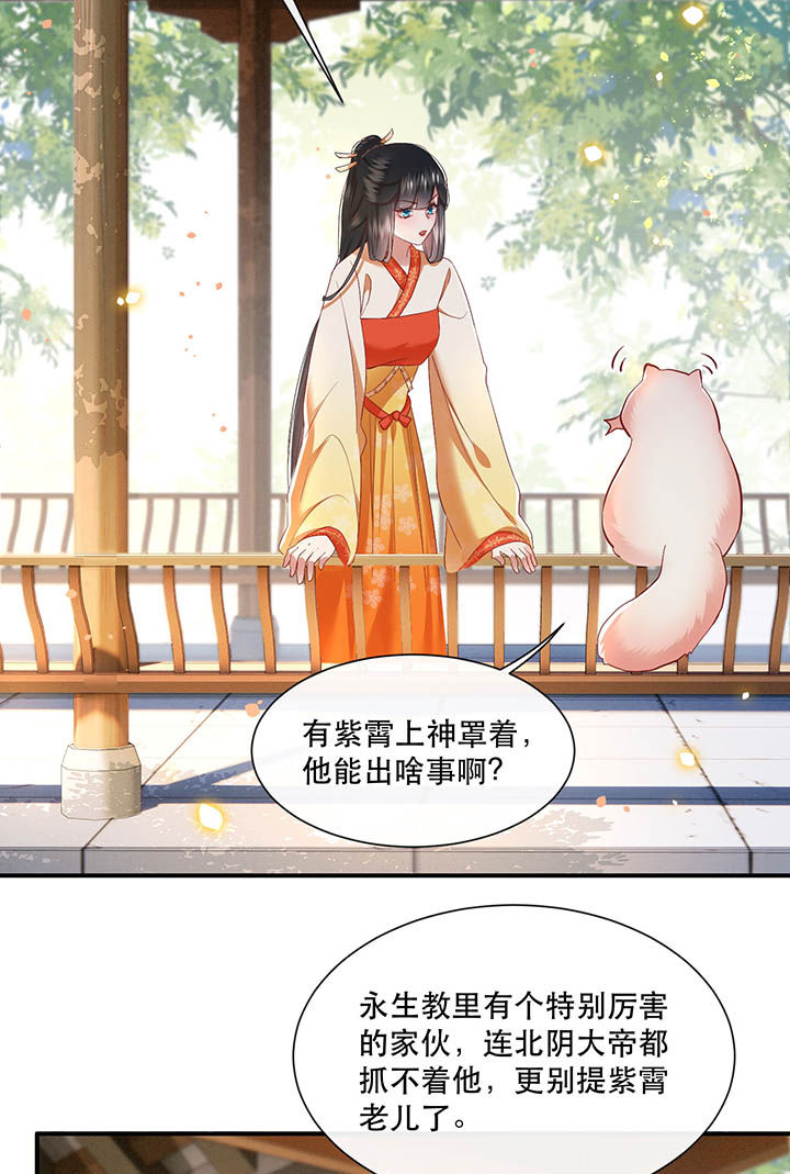 《这个王妃路子野》漫画最新章节第104章：公主殿下在找我？免费下拉式在线观看章节第【24】张图片