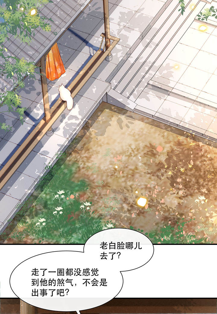 《这个王妃路子野》漫画最新章节第104章：公主殿下在找我？免费下拉式在线观看章节第【25】张图片