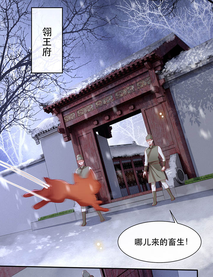 《这个王妃路子野》漫画最新章节第110章：赶紧把裤子脱了免费下拉式在线观看章节第【11】张图片