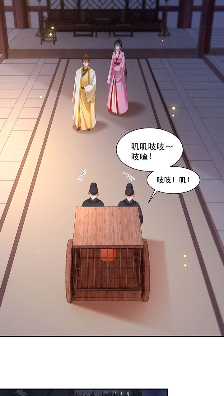 《这个王妃路子野》漫画最新章节第110章：赶紧把裤子脱了免费下拉式在线观看章节第【33】张图片