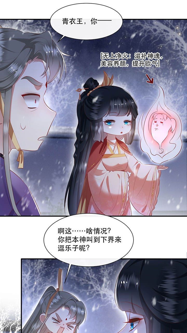 《这个王妃路子野》漫画最新章节第119章：好一个北阴啊！免费下拉式在线观看章节第【25】张图片