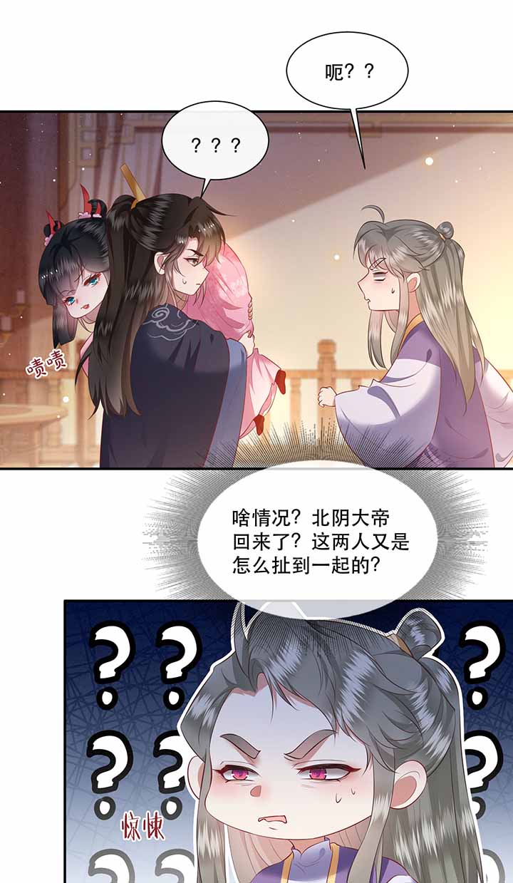 《这个王妃路子野》漫画最新章节第121章：他就是你的儿子啊！免费下拉式在线观看章节第【33】张图片