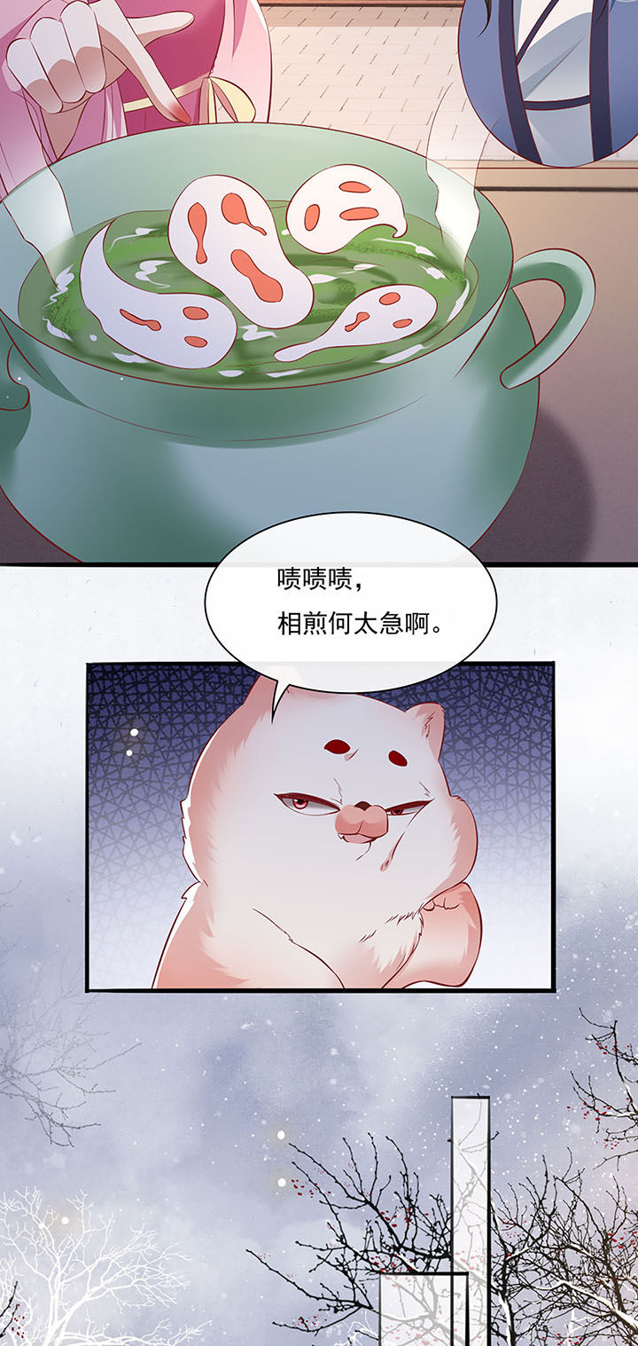 《这个王妃路子野》漫画最新章节第123章：本公主给你做老鳖汤免费下拉式在线观看章节第【21】张图片