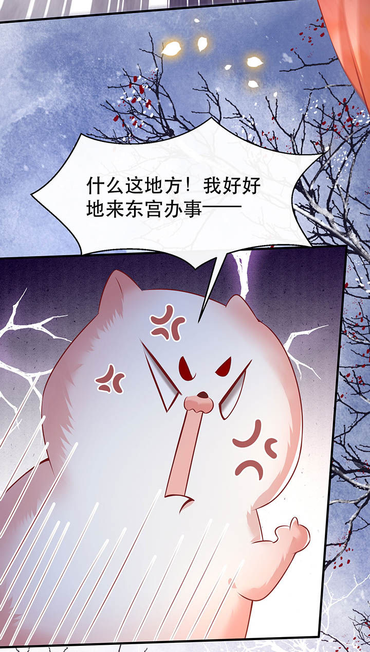 《这个王妃路子野》漫画最新章节第129章：竟然还活着！免费下拉式在线观看章节第【24】张图片