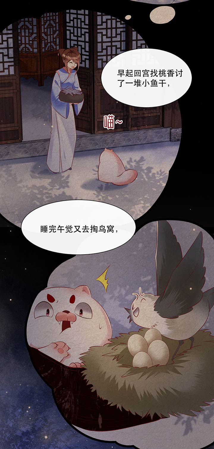 《这个王妃路子野》漫画最新章节第129章：竟然还活着！免费下拉式在线观看章节第【21】张图片