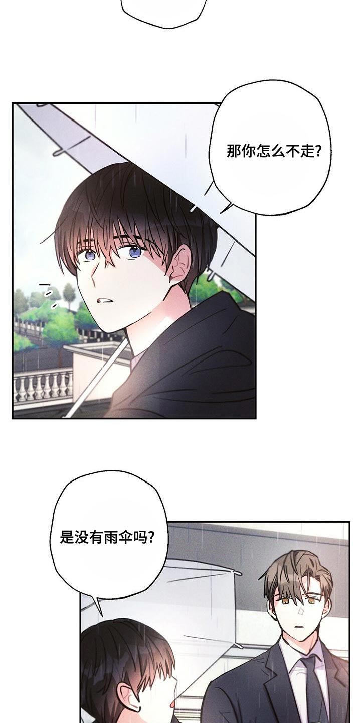 《雷云暴雨》漫画最新章节第116章：孤儿院出身免费下拉式在线观看章节第【19】张图片