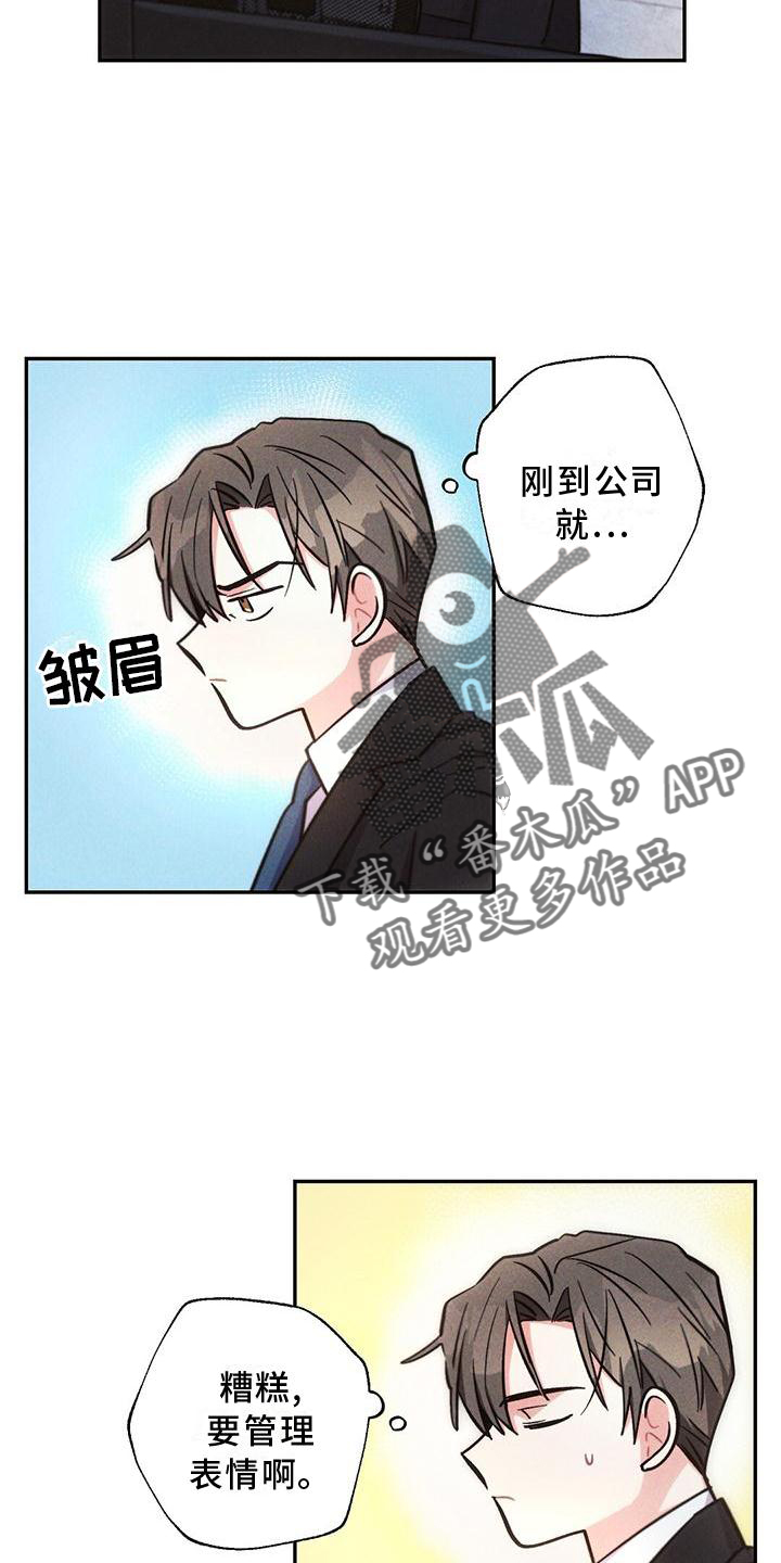 《雷云暴雨》漫画最新章节第118章：结束免费下拉式在线观看章节第【9】张图片