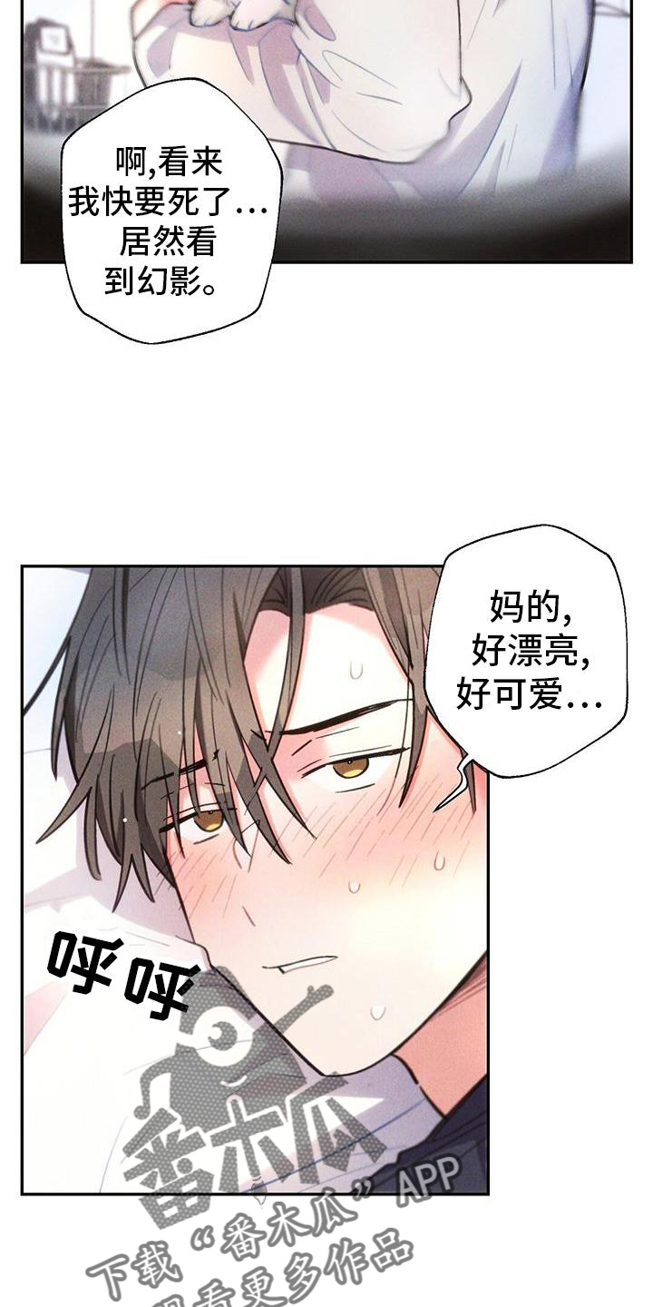 《雷云暴雨》漫画最新章节第133章：幻觉免费下拉式在线观看章节第【14】张图片