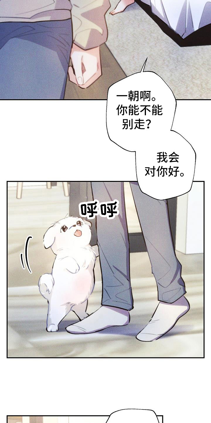 《雷云暴雨》漫画最新章节第135章：舍不得免费下拉式在线观看章节第【17】张图片