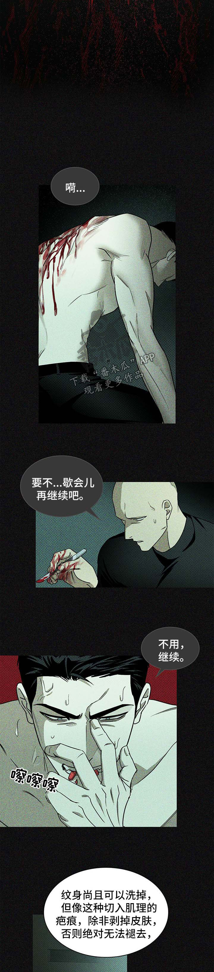 《绿色纹理》漫画最新章节第17章：新海纹身免费下拉式在线观看章节第【6】张图片