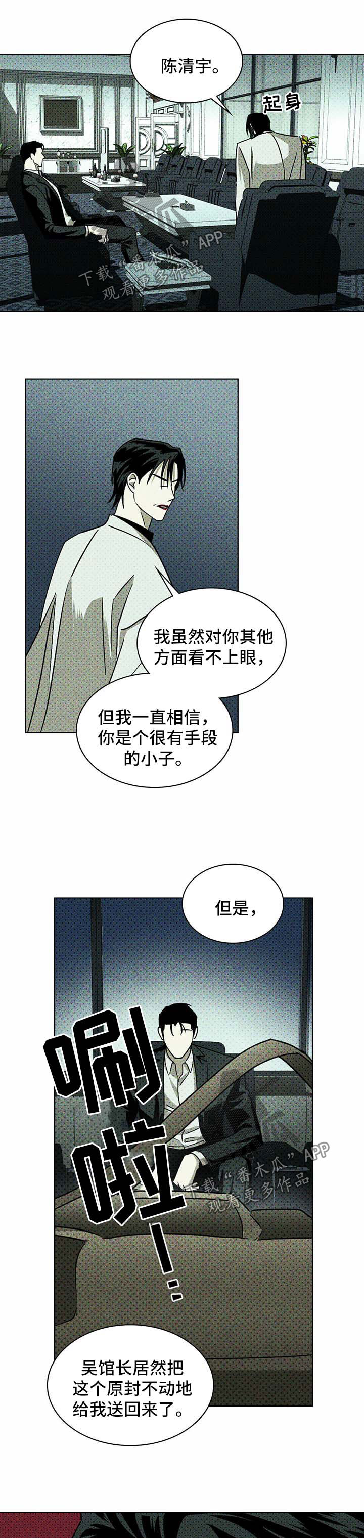 《绿色纹理》漫画最新章节第18章：解释免费下拉式在线观看章节第【2】张图片