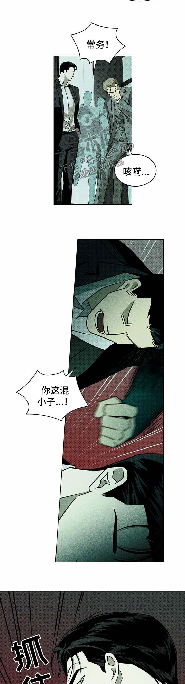 《绿色纹理》漫画最新章节第18章：解释免费下拉式在线观看章节第【10】张图片