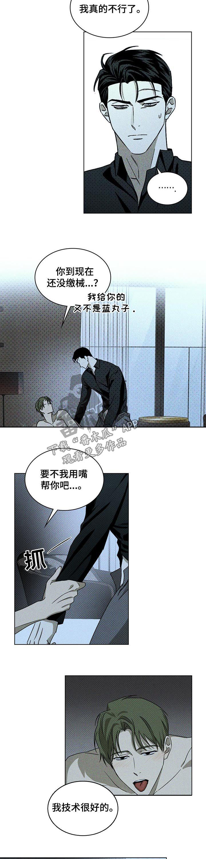 《绿色纹理》漫画最新章节第22章：约定的日子免费下拉式在线观看章节第【3】张图片