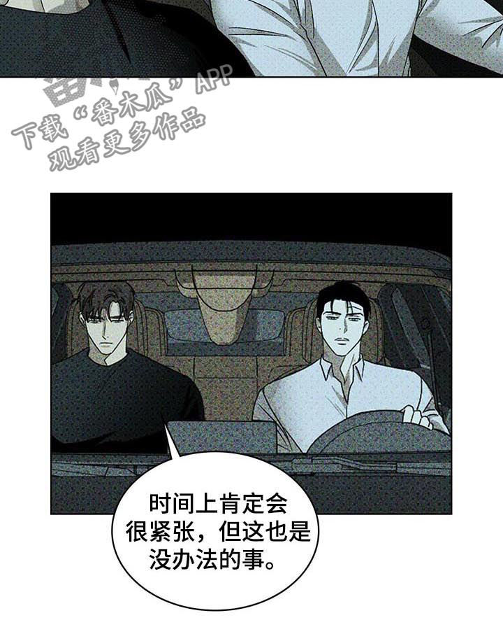 《绿色纹理》漫画最新章节第43章：心烦免费下拉式在线观看章节第【9】张图片