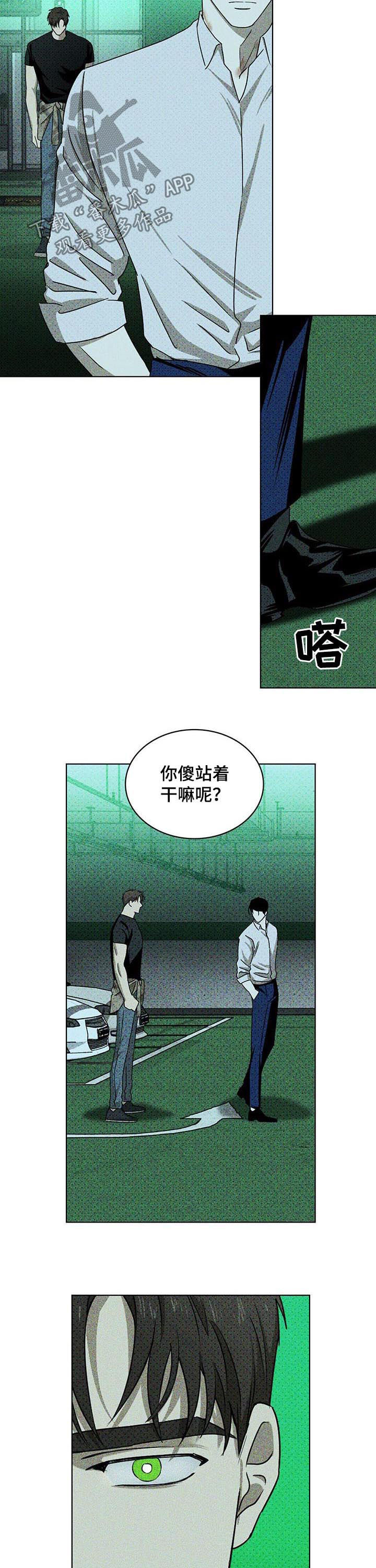 《绿色纹理》漫画最新章节第43章：心烦免费下拉式在线观看章节第【11】张图片