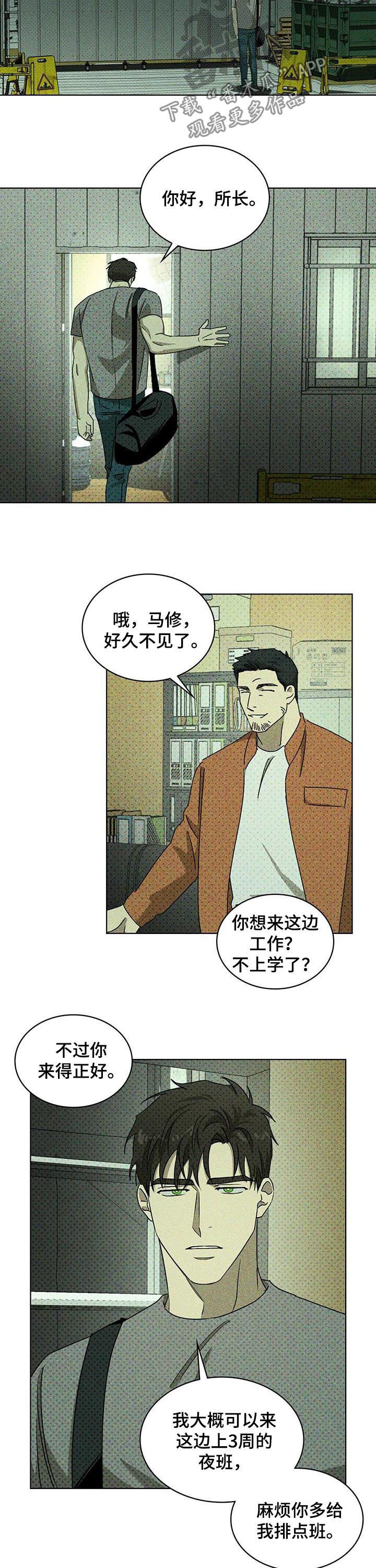 《绿色纹理》漫画最新章节第45章：辗转难眠免费下拉式在线观看章节第【13】张图片