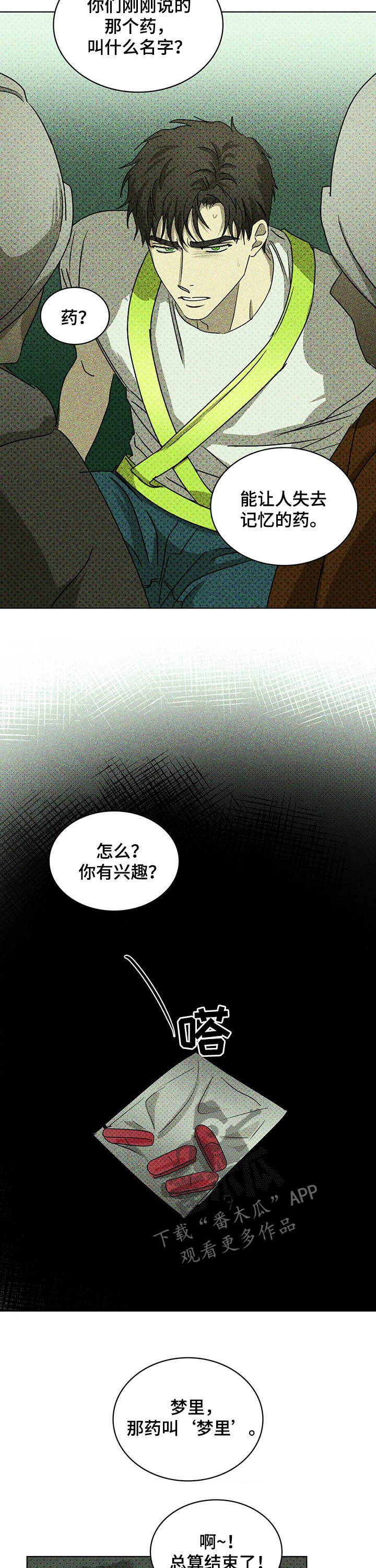 《绿色纹理》漫画最新章节第46章：不要越界免费下拉式在线观看章节第【11】张图片