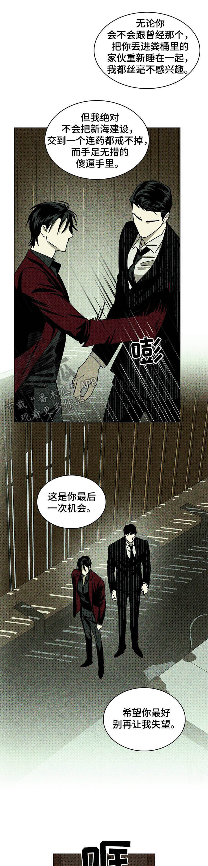 《绿色纹理》漫画最新章节第47章：高层会议免费下拉式在线观看章节第【3】张图片