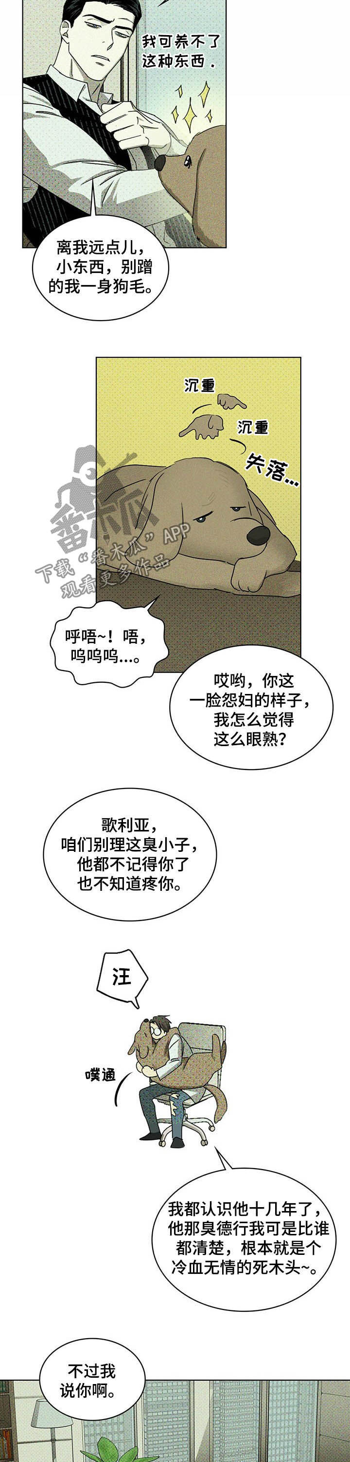 《绿色纹理》漫画最新章节第48章：治疗免费下拉式在线观看章节第【5】张图片