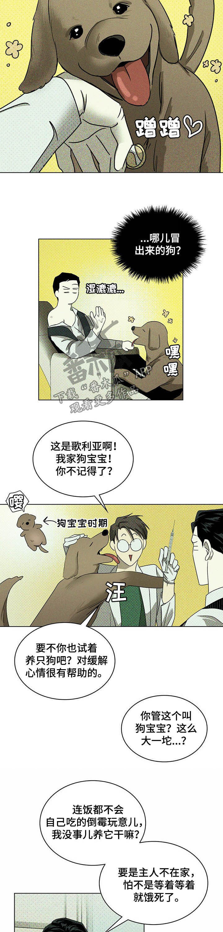 《绿色纹理》漫画最新章节第48章：治疗免费下拉式在线观看章节第【6】张图片