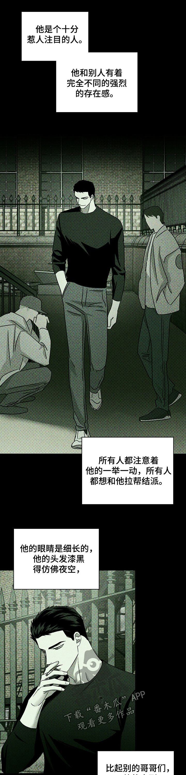 《绿色纹理》漫画最新章节第51章：我的兔子免费下拉式在线观看章节第【11】张图片