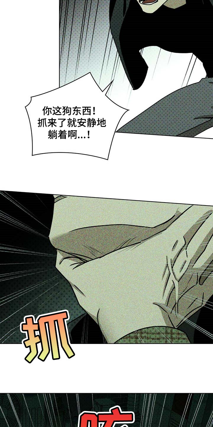 《绿色纹理》漫画最新章节第72章：我可不是在求你免费下拉式在线观看章节第【4】张图片