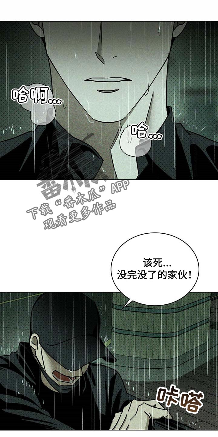 《绿色纹理》漫画最新章节第74章：不质疑不后悔免费下拉式在线观看章节第【3】张图片