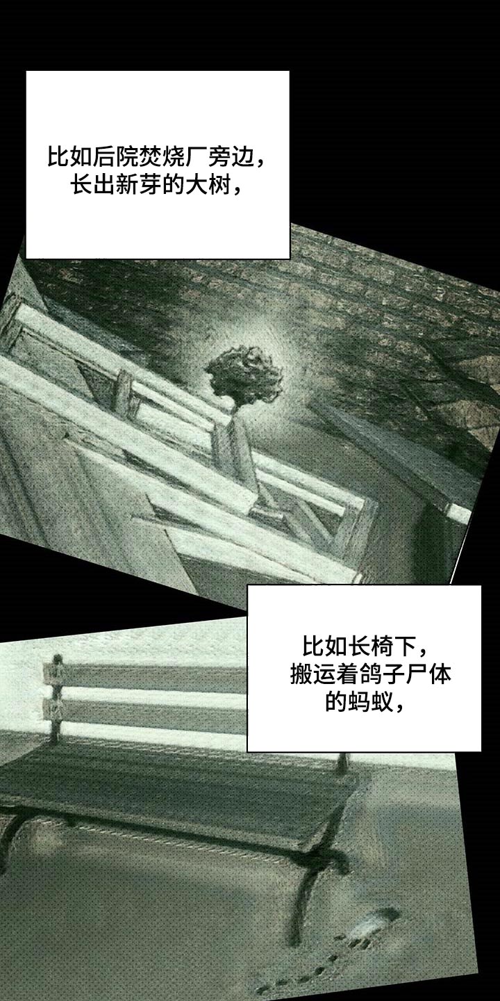 《绿色纹理》漫画最新章节第74章：不质疑不后悔免费下拉式在线观看章节第【14】张图片