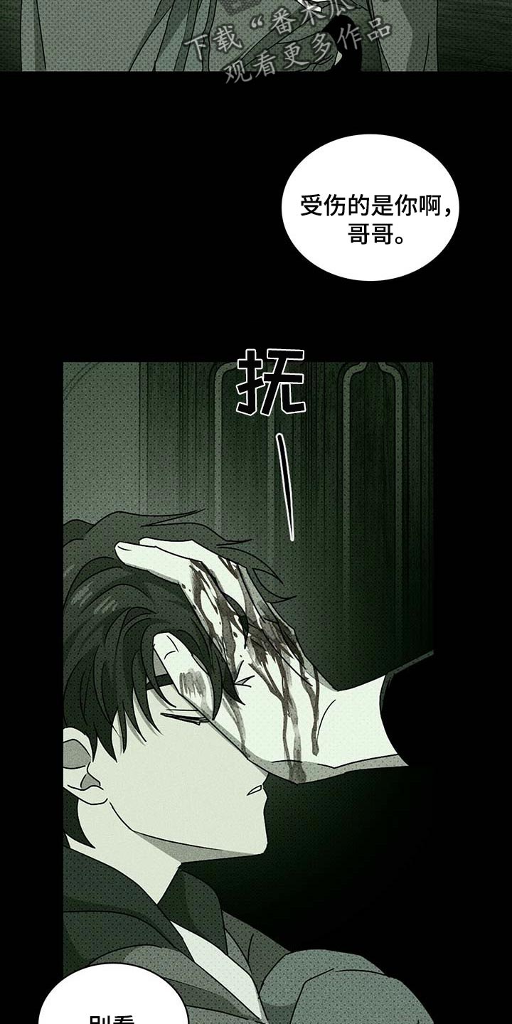 《绿色纹理》漫画最新章节第75章：为了我免费下拉式在线观看章节第【3】张图片