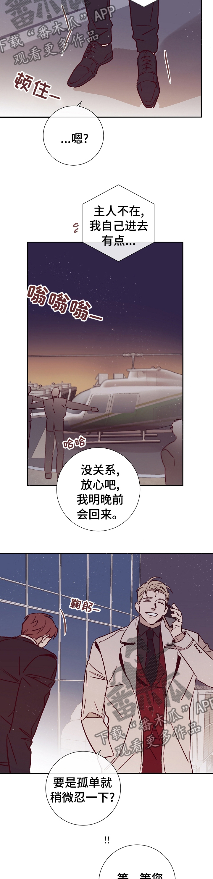 《失踪案件》漫画最新章节第50章：上岛免费下拉式在线观看章节第【10】张图片