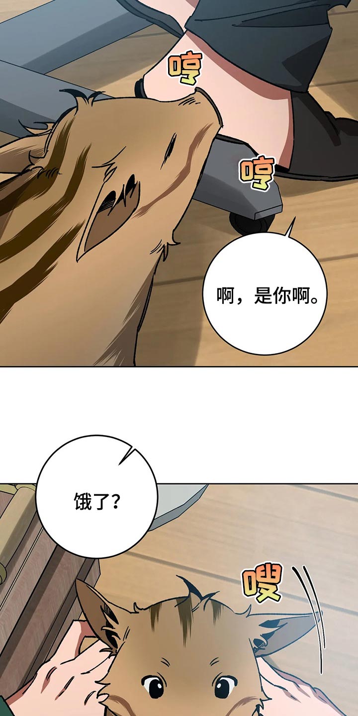 《盲人游戏》漫画最新章节第109章：视线免费下拉式在线观看章节第【24】张图片