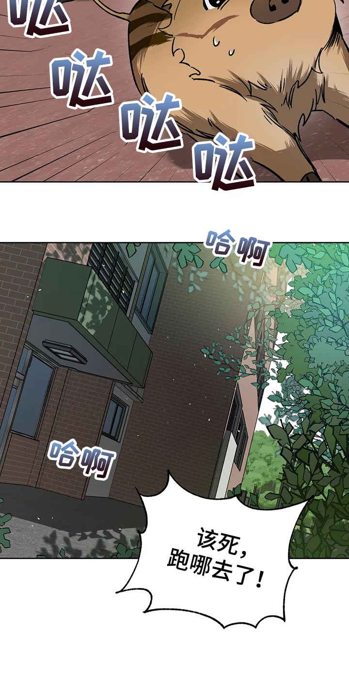 《盲人游戏》漫画最新章节第114章：野猪不是玩具免费下拉式在线观看章节第【5】张图片