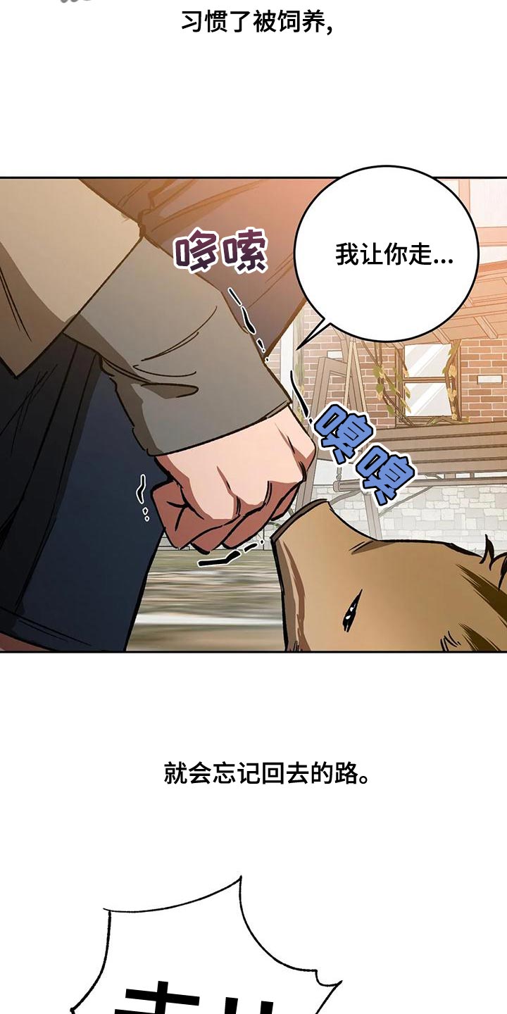 《盲人游戏》漫画最新章节第135章：迷路免费下拉式在线观看章节第【21】张图片