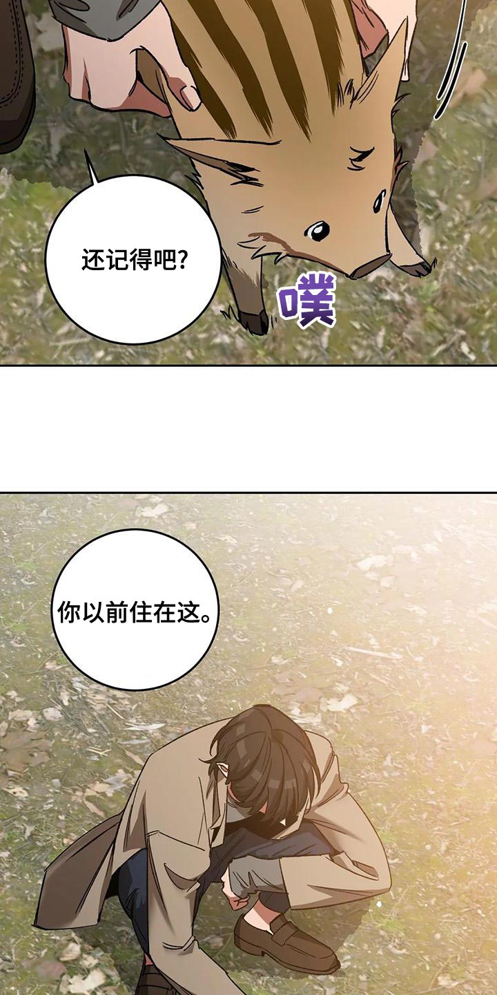 《盲人游戏》漫画最新章节第135章：迷路免费下拉式在线观看章节第【27】张图片