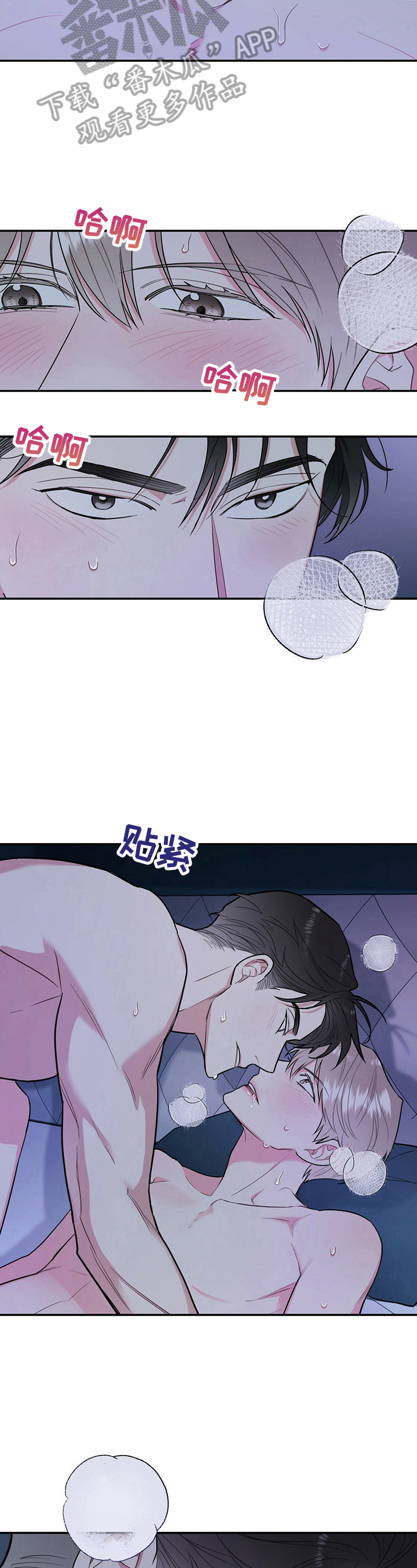 《欢喜冤家》漫画最新章节第17章：喜欢免费下拉式在线观看章节第【2】张图片